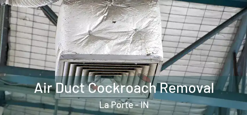  Air Duct Cockroach Removal La Porte - IN