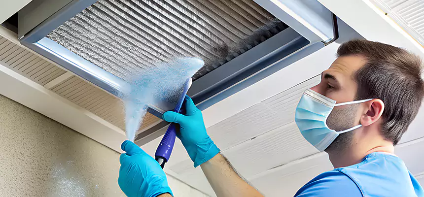 Proactive Dryer Vent & Auxiliary Duct Pollen Cleanup in La Porte, IN
