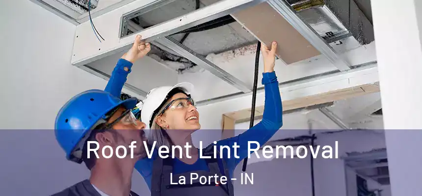 Roof Vent Lint Removal La Porte - IN