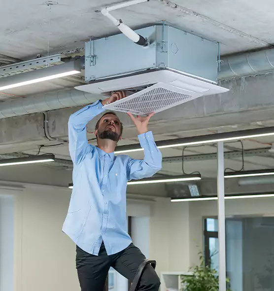 Advanced Rodent Droppings In Vents in La Porte, IN